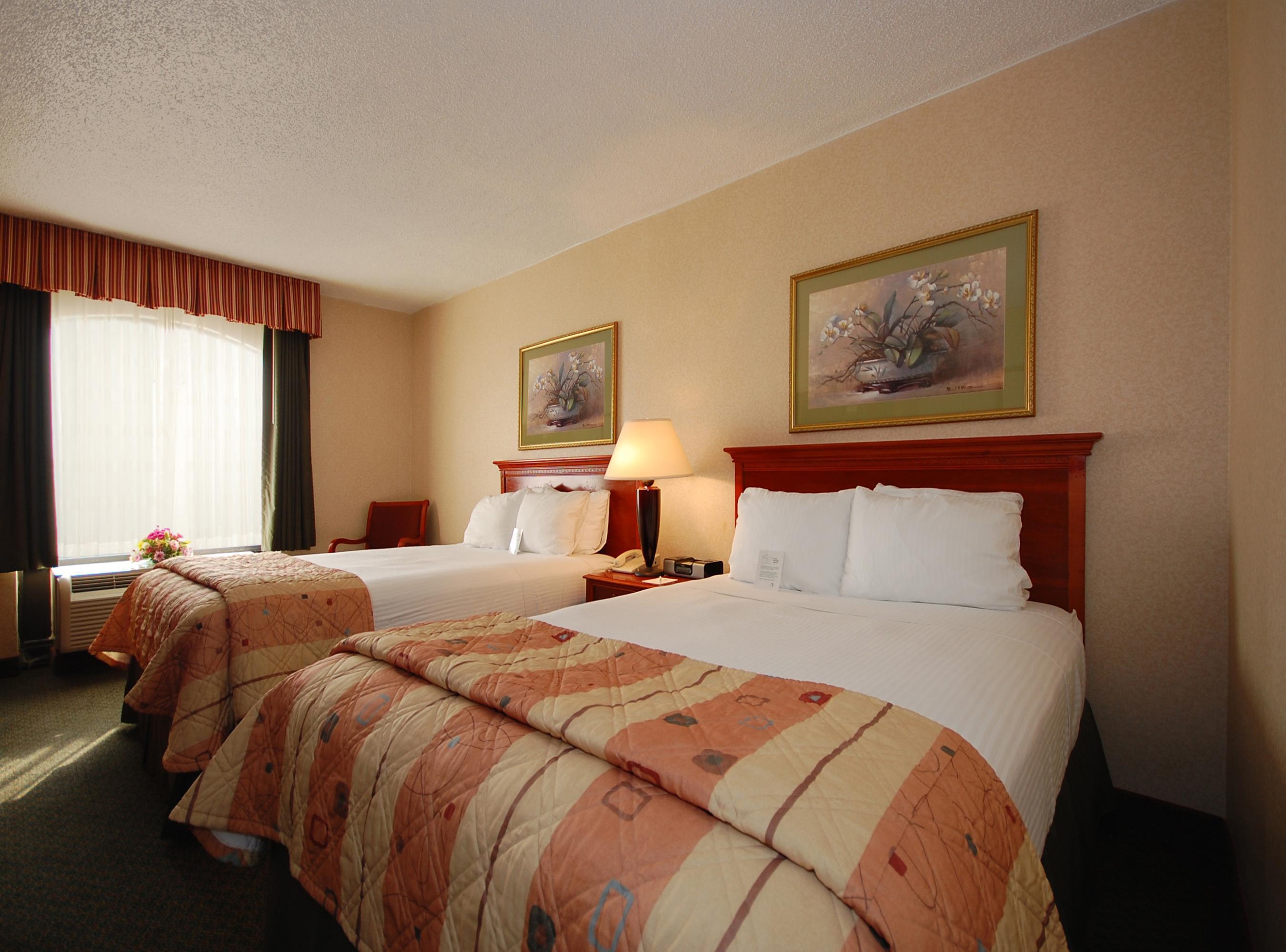 Western 3* Springfield